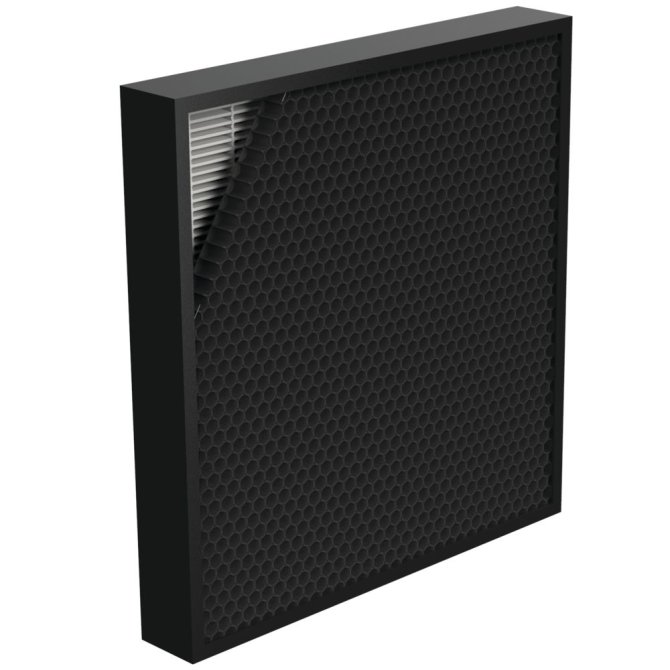 Filter zu Aeramax Pro III PC und Aeramax Professional [2 Stück]