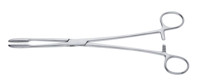 Kornzange, Gross-Maier mit Sperre, gerade [20 cm]