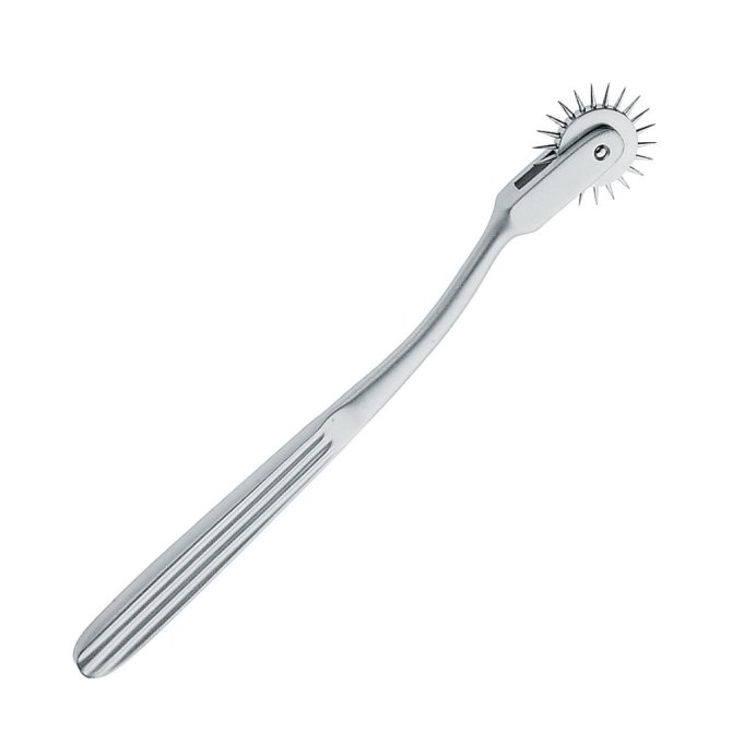 Nervenrädchen, Wartenberg, 19 cm