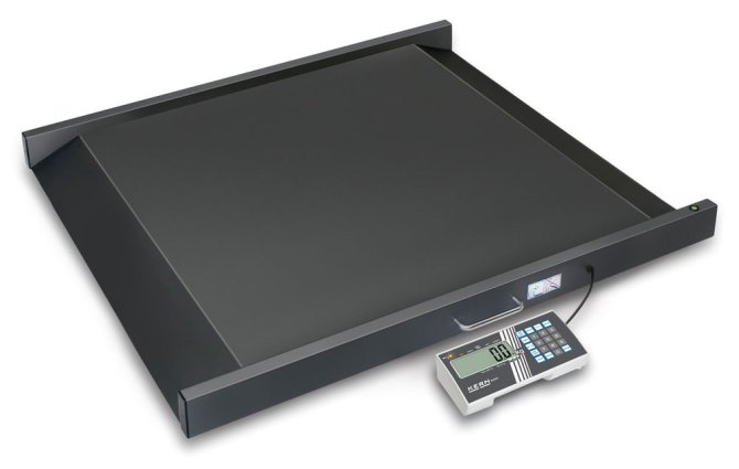 Rollstuhlwaage Wägebereich max. 300 kg inkl. Eichung