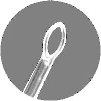 Ohrkürette Figur 1 Standard spitze Ovalschlinge 50 Stück
