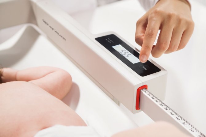 Messstab digital für 336 und 336i